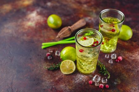 Two glasses with Lime Lemonade with thyme, cranberry and ice on light background. Refreshing summer homemade Alcoholic or non-alcoholic cocktails or Detox infused flavored water. Space for text.の写真素材