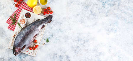 Fresh Rainbow raw trout with herbs rosemary, tomatoes, peppercorns, olive oil, himalayan salt and lemon on light background. Healthy food. Cooking concept. Top view, place for textの写真素材