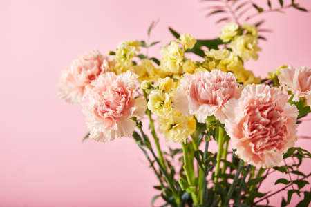Bouquet of pink carnations and yellow matthiola with green branches. Design concept of holiday greeting with carnation bouquet on pink backgroundの写真素材