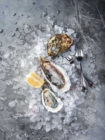 Oysters with lemon on ice on gray background close-upの写真素材