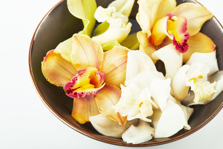 Cymbidium orchid flowers in water indark bowl on white backgroundの写真素材