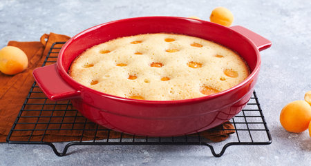Delicious homemade apricot pie with fresh apricots in red baking dish on gray background. Summer...