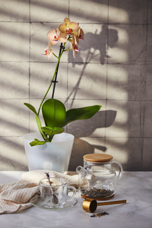 Fruit and berry tea. Preparation. Empty glass teapot and cup on the tableの写真素材
