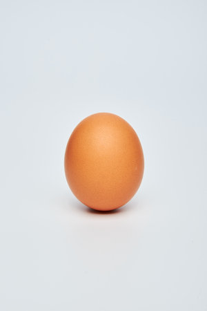 Close up of brown egg in line on plain white background. Minimal fashion concept, flatlay, top view.の写真素材