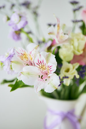 Beautiful alstroemeria flower back ground. Alstroemeria flowers, commonly called the Peruvian lily or lily of the Incas.の写真素材