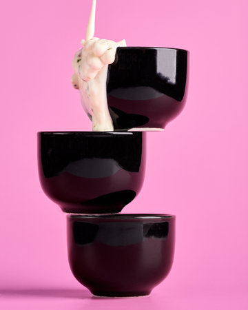 Thick white mayonnaise, ranch or garlic sauce is poured from bottle into bowlの写真素材