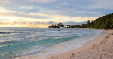 Early  sunset at the sea.Palm Trees on the backgroundの写真素材