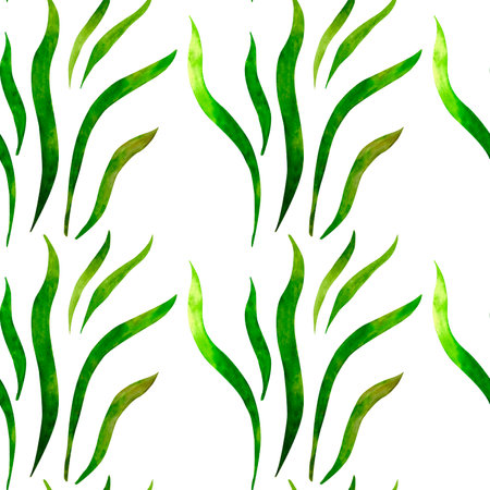 Seaweeds, aglae clip art. Marine underwater sea animal seamless pattern, watercolor art in ocean kids style, for decor children, package, scrapbook, school, nursery, invitation, print, postcard.の写真素材