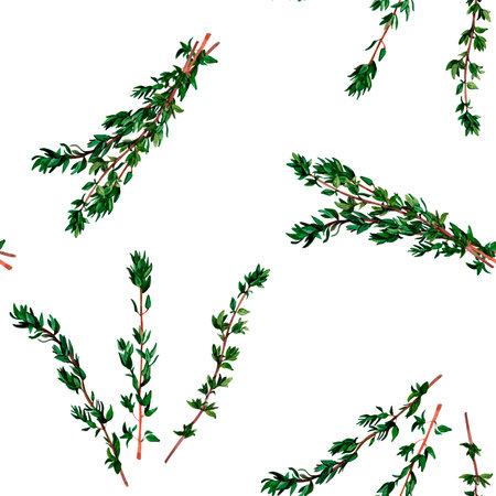Thyme aromatic herb. Seamless pattern for prints on wallpaper, textiles, diy, scrapbooking for packaging. For kitchen and restaurant decor, cook and recipe book.の写真素材