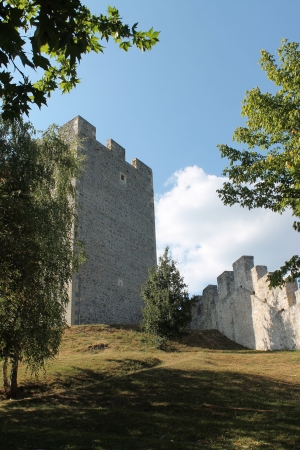 Castle - Celje - towerのeditorial素材