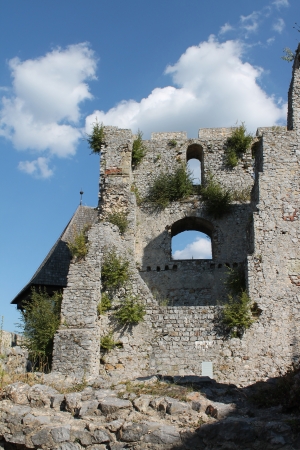 Castle - Celje - detailのeditorial素材