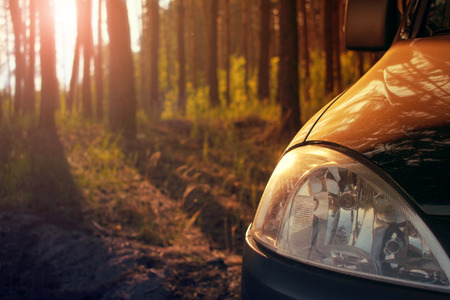 A car in a summer pine forest in the sunlight. Car headlight close-up on a background of pines. The urban population seeks opportunities for recreation in the nature. Camping outdoor activities, picnic in the forest conceptの写真素材