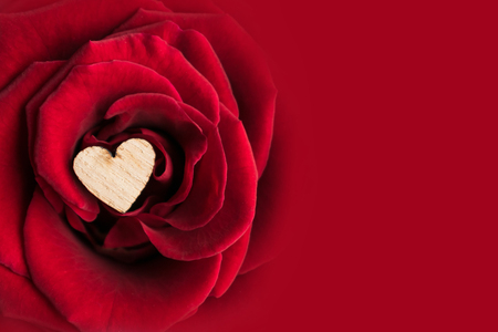Beautiful Valentine's Day background with close up of small wooden heart among the petals of a red rose. Miniature heart in the rosebud with copy space. Blank for postcards or invitationsの写真素材