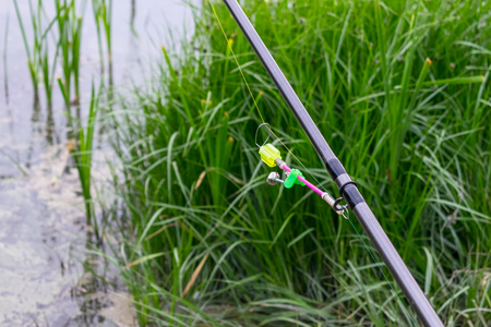 Bells for fish bites on fishing rod against background of green reeds and river. Bite alarm. Feeder fishing. Carp fishing rod and bite alarmの写真素材
