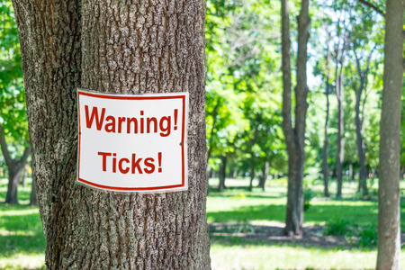 Sign Warning ticks on tree in green park background. White and red warning signboard Beware of ticks in green forestの写真素材