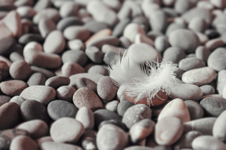 White feather on a grey and black  pebble stones. Opposites, Harmony, balance, feelings, relationships conceptの写真素材