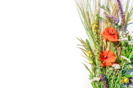 Open notepad with white paper on background of green grass and poppy meadow flowers. Natural, ecological mockup. Blank notebook recycle paper open two page with copy space area on lawn with sunlightの写真素材