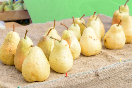 Healthy Organic yellow Pears on the table with burlap at village fair. Fruit harvest fresh picked...
