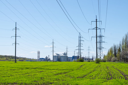 Modern soybean processing plant, agricultural Silos against green field and blue sky.