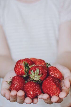 Strawberries in children hands. Baby girl in summer hat holding fresh red organic strawberries. Summer vitamins background.の写真素材