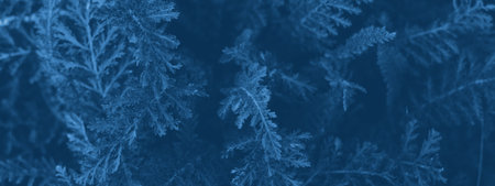 Blue Color toned floral background. Blue toned trend web banner background