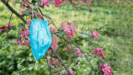 Coronavirus Trash: Face Masks on blooming spring trees. Used medical masks left on the lawn....