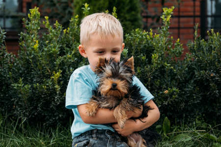 Boy with yorkshire terrier dog puppy. Cute baby boy hugs york terrier puppy and sitting on green grass in the gardenの写真素材