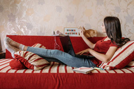 Home office, work space, work from home concept. Young woman with laptop and cat working at sofa. Flexible work hours.の写真素材