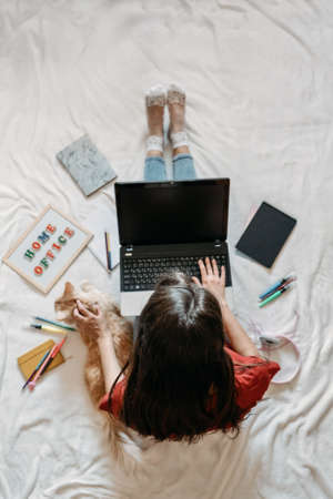 Home office, work space, work from home concept. Young woman with laptop and cat working at sofa. Flexible work hours.の写真素材