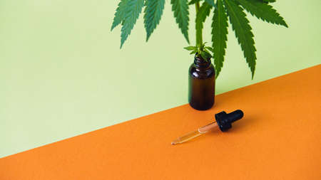 CBD Cannabidiol oil and cannabis leaves on minimal orange and green background. CBD hemp oil in pipetteの写真素材