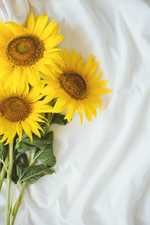 Candid authentic Yellow sunflowers bouquet on fabric white background. Background with bouquet of yellow sunflowers on white bed sheet. Sunny Days, Summer floral conceptの写真素材