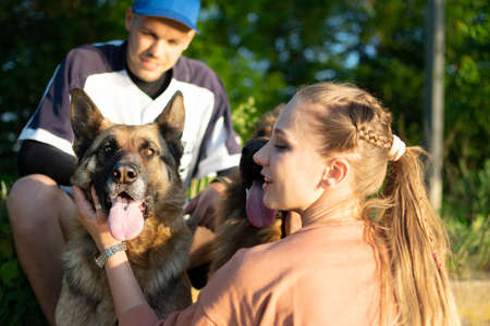 Active Family, fitness couple, Pet Love, Dog Training, best dog breeds for family. Young sports couple walking with two German Shepherd dogs outdoors in summer parkの写真素材