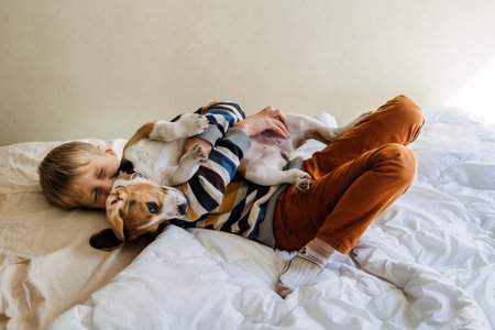 Best Dog Breeds for Kids, Good Family Dogs. Introducing Puppies and Children. Cute little Beagle puppy and kid boy playing in bed at homeの写真素材