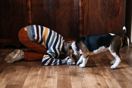 Games to play with beagle puppies. How to Entertain puppy and adult Beagle Indoors, Fun Ways to...