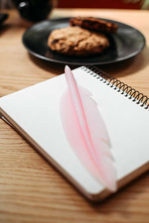 Professional content creator workplace, new project, search new idea, author inspiration. Blank open notebook and quill pen on deskの写真素材