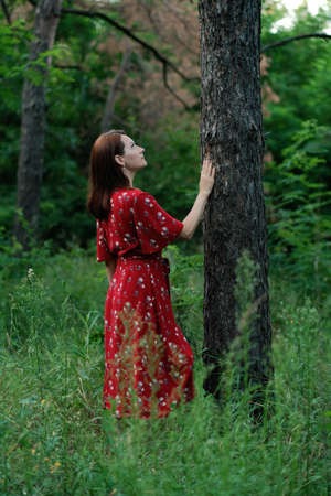 Save and Plant Trees, Save Earth and Nature, Stand For Trees, Save Forests and Heal the Climate. Woman in a red dress walking in forest, hugging trees and touching the trunksの写真素材