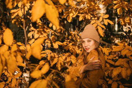 Feel-good Self-care Ideas For Fall, Autumn Self-Care Activities, celebrate the fall season. Young beautiful woman enjoying autumn nature and sun.の写真素材