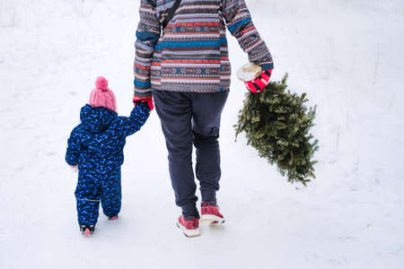 Young woman, single mom and toddler baby girl carries Christmas tree in the winter park. Preparing for Christmas, picking, selecting Christmas tree.の写真素材
