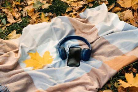 Smartphone mockup, headphones, yellow maple leaf on blanket in autumn park background. Audio technology apps, meditation application, fall mood music podcasts and booksの写真素材
