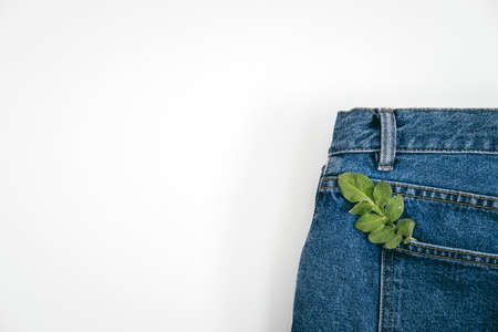 Sustainable fashion, Circular economy, denim eco friendly clothing. Green leaf plant on blue denim jeans backgroundの写真素材