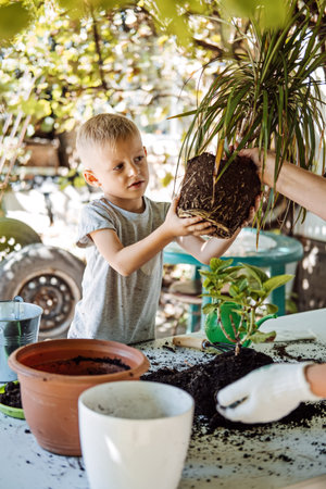 Spring Houseplant Care, repotting houseplants. Happy little kid boy planting Houseplants In Pots, drainage layer for Houseplants in backyard, garden.の写真素材