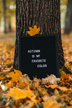 Letter message board with text Autumn is my favorite color. Autumn motivation quotesの写真素材