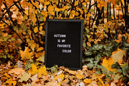 Letter message board with text Autumn is my favorite color. Autumn motivation quotesの写真素材
