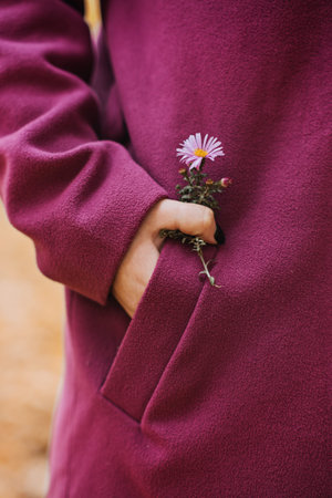 Fall leaf holding in female hand. Faceless shot of woman in purple coat holding yellow maple leaf