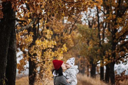 Mother and little baby daughter walking together in autumn park, forest. Mother with toddler daughterの写真素材