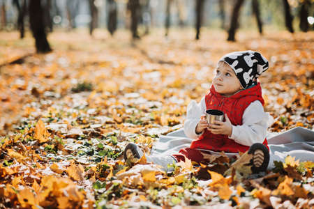 Happy little toddler baby daughter with red flask and cup in autumn picnic in fall nature backgroundの写真素材
