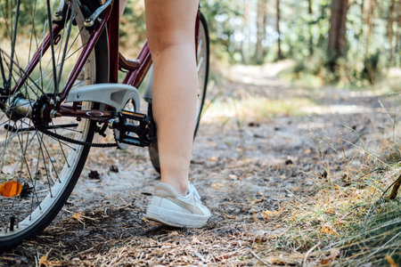 Bicycle Tourism. Road Biking Trails. Bicycles for rent. Single woman riding bike in pine forest in...