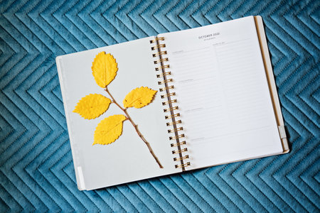 October 2022 plan page in open notebook organizer calendar with dry autumn leaves. Autumn planning...