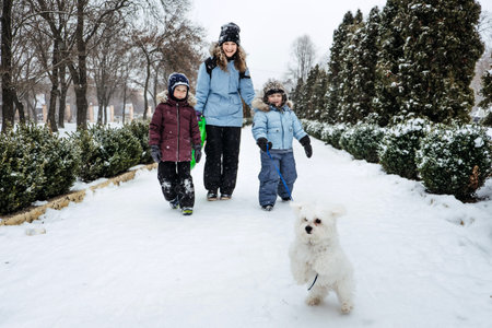 Outdoors winter activities for family, friends. Happy Family, friends, two women, two boy kids and...