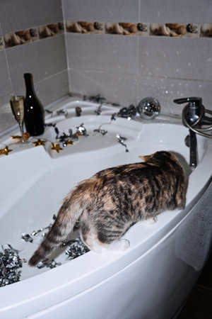 Bathtub Party Day, Party Bathroom Decor. New Years or Birthday Party in Bathtub. Cat, champagne and Decorations ready for Bathtub Party Dayの写真素材
